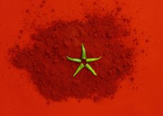 דגל מרוקו עשוי מפפריקה ופלפל חריף